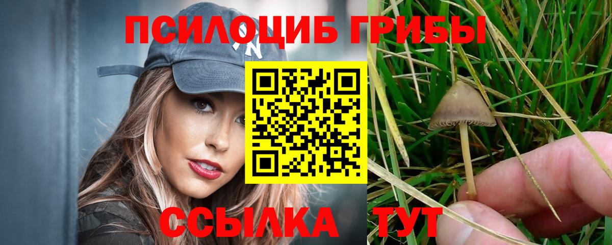купить наркотики сайты  Галлюциногенные грибы Psilocybine cubensis  Вход с VPN  Галлюциногенные грибы Psilocybe  Елец 